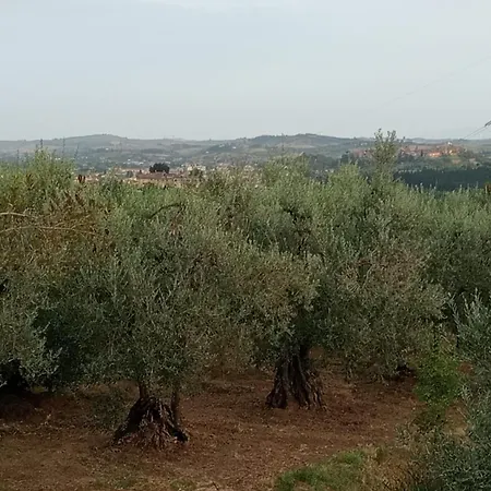 Casa Carolina Vista A * San Gimignano